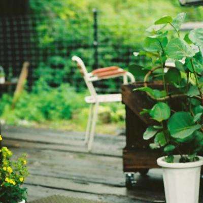 8868体育官方版最新版