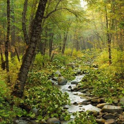 ayx体育在线登录手机app下载