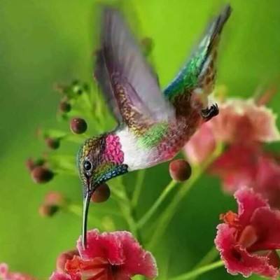 ob欧宝网页版入口