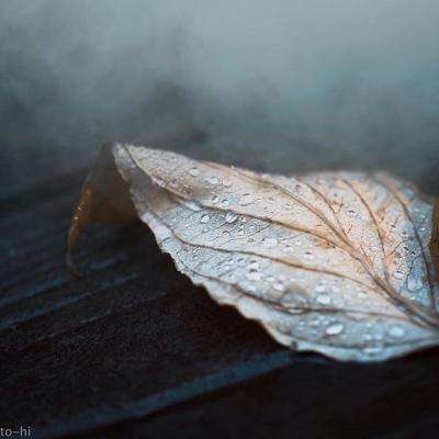 亚洲杯冠亚军竞猜