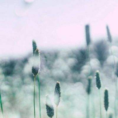 金沙乐娱场app下载手机app下载